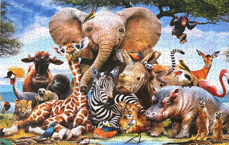 puzzle 1000 pcs