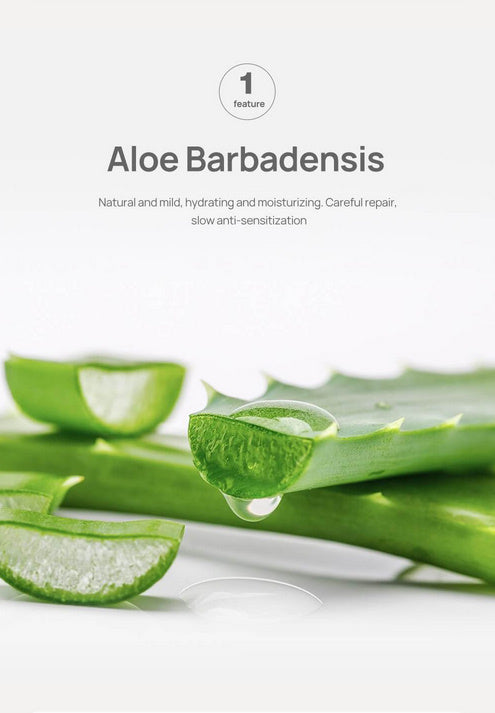 Aloe Blackhead Nose Strips