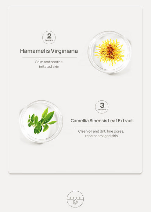 Aloe Blackhead Nose Strips